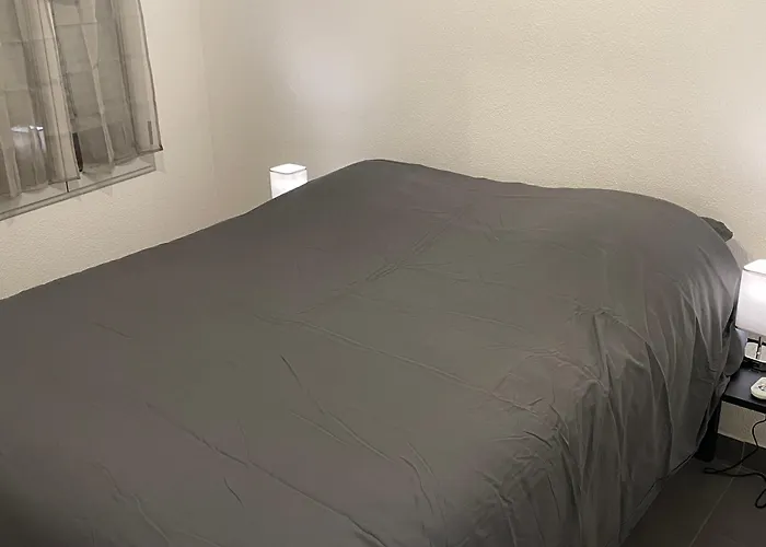 Lejlighed T2 N3 Hyper-centre Climatise Parking Albi